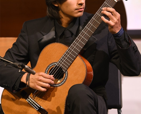 Alan Gasperin, Guitar