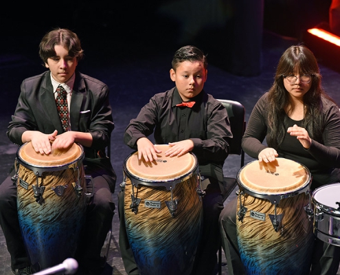 Percussion